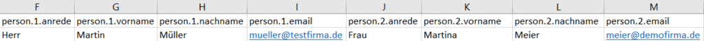 Screenshot Muster-Importtabelle mit verschiedenen Ansprechpartnerangaben