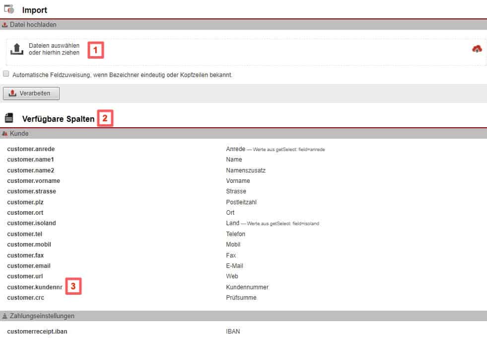 Screenshot der Maske zum Upload einer CSV-Datei für den Kundennummernabgleich