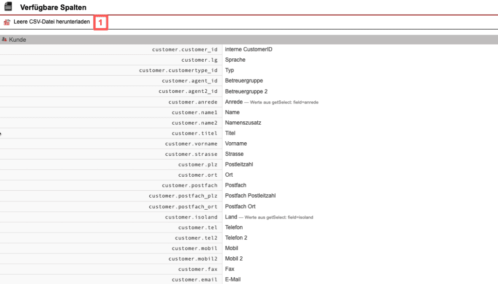 Screenshot verfügbarer Informationsspalten für den Kundendatenimport