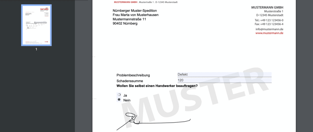 Screenshot der PDF-Ansicht eines Formulars