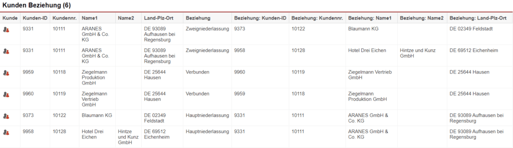 Screenshot einer Auswertung der Statistik „Kunden Beziehungen“