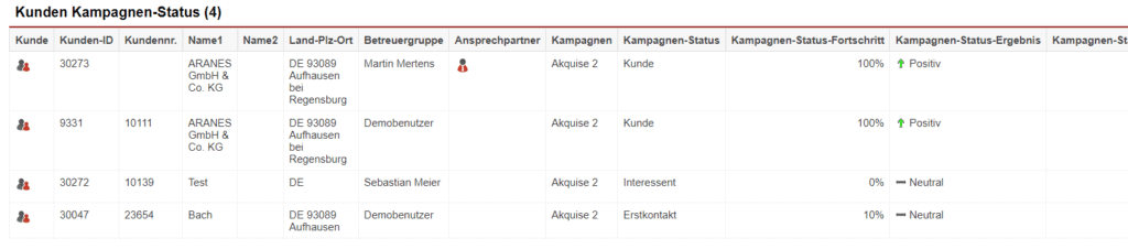 Screenshot einer Auswertung der Statistik „Kunden Kampagnen-Status“