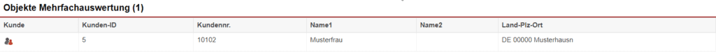 Screenshot einer Auswertung der Statistik „Objekte Mehrfachauswertung“