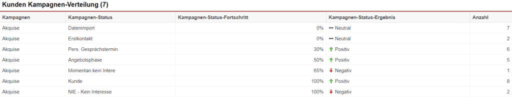 Screenshot einer Auswertung der Statistik „Kunden Kampagnen-Verteilung“