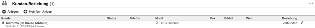Screenshot Kundendatensatz mit angelegter Kunden-Beziehung